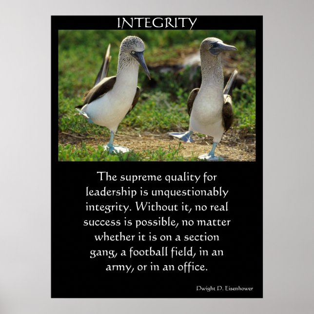 INTEGRITY Posters Poster (Vorne)