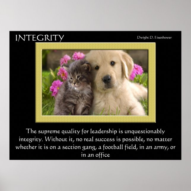 INTEGRITY Posters Poster (Vorne)
