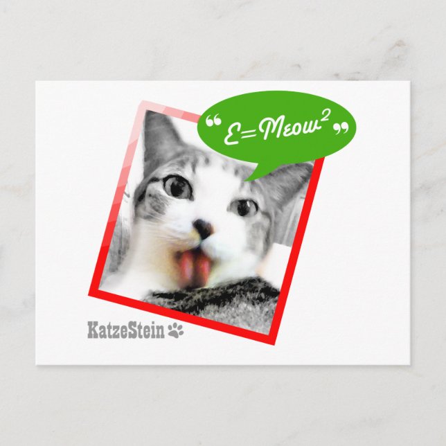 intelligente Katze Postkarte (Vorderseite)