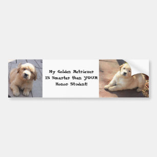 intelligenter als ein Ehrenstudent Autoaufkleber