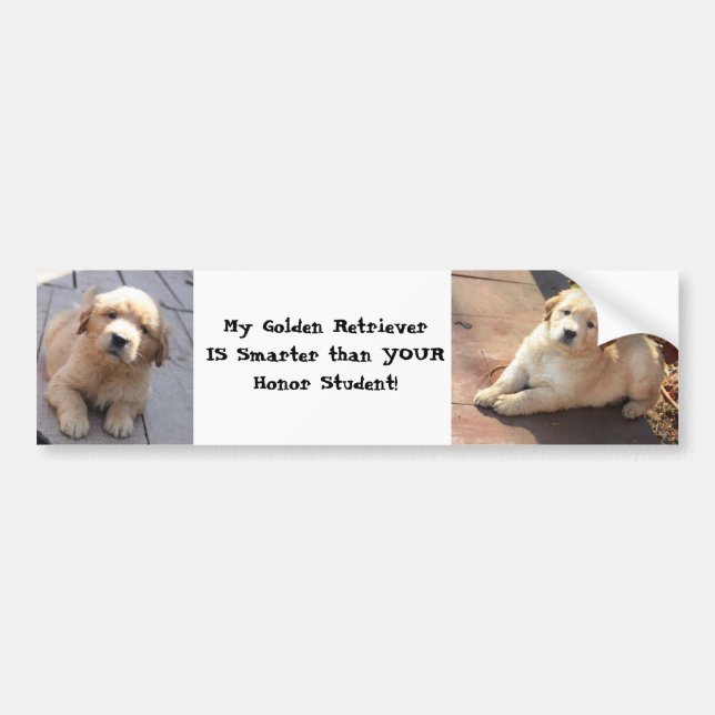 intelligenter als ein Ehrenstudent Autoaufkleber (Vorne)