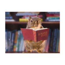 Intelligentes Eichhörnchen beim Lesen eines Wörter