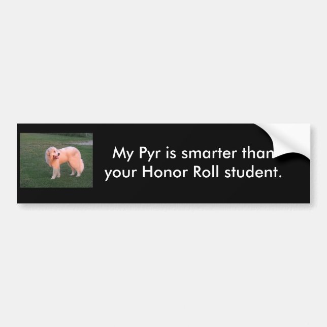 Intelligentes Pyr Autoaufkleber (Vorne)