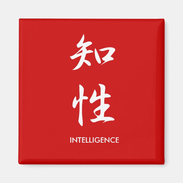Intelligenz - Chisei Magnet (Vorne)