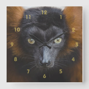 Intense Lemur Quadratische Wanduhr