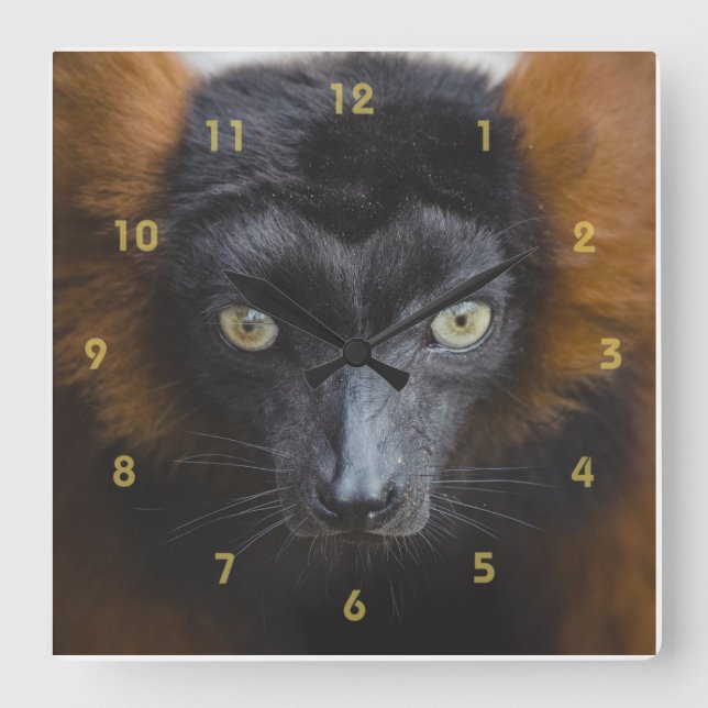 Intense Lemur Quadratische Wanduhr (Vorderseite)