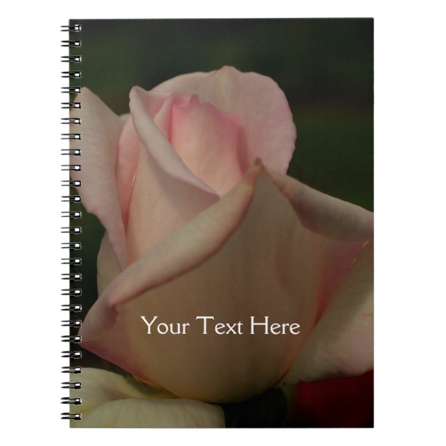 Intense Pink Rosenknospe Blume Nature Notebook Notizblock (Vorderseite)