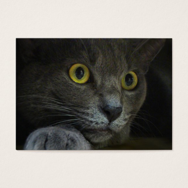 Intensität der Lesezeichen (Vorderseite)