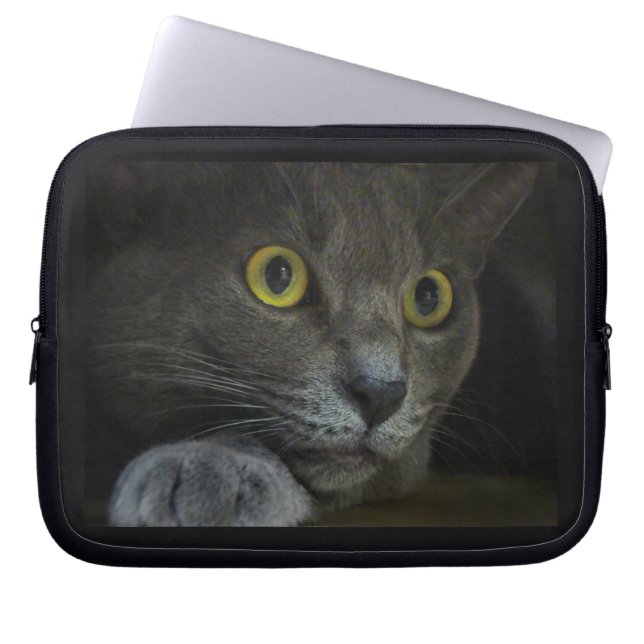 Intensität Laptop-Segel Laptopschutzhülle (Vorderseite)