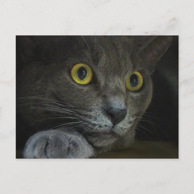 Intensität Postkarte (Vorderseite)