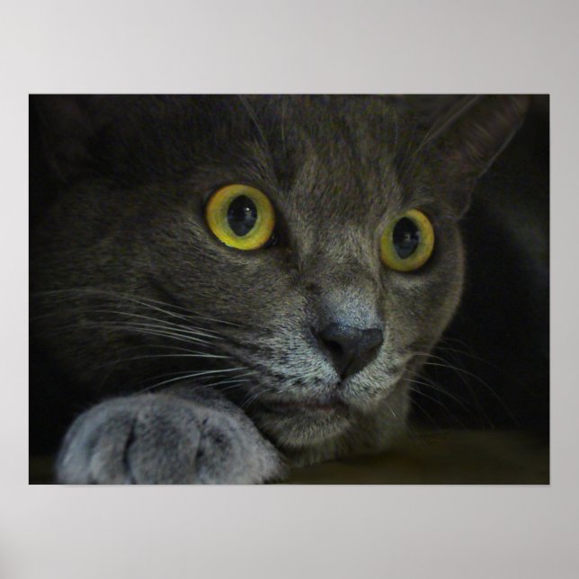 Intensitätsdruck Poster (Vorne)