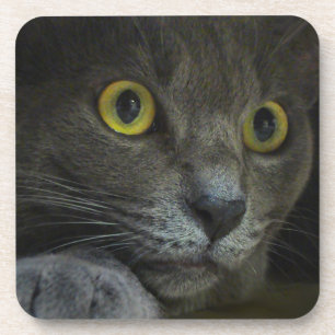 Intensitätskork-Untersetzer Untersetzer