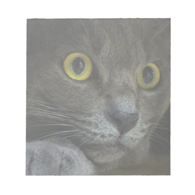 Intensitätsmerkmal Notizblock (Vorderseite)