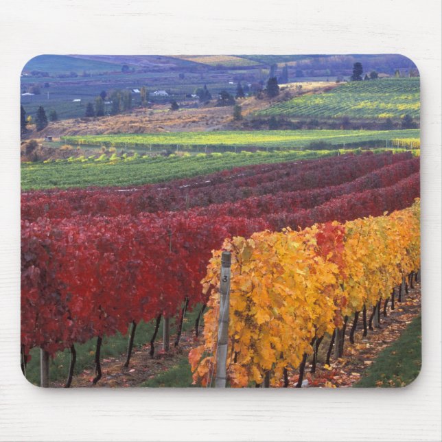 Intensiv rote und gelbe Herbstfarben auf Gehring Mousepad (Vorne)