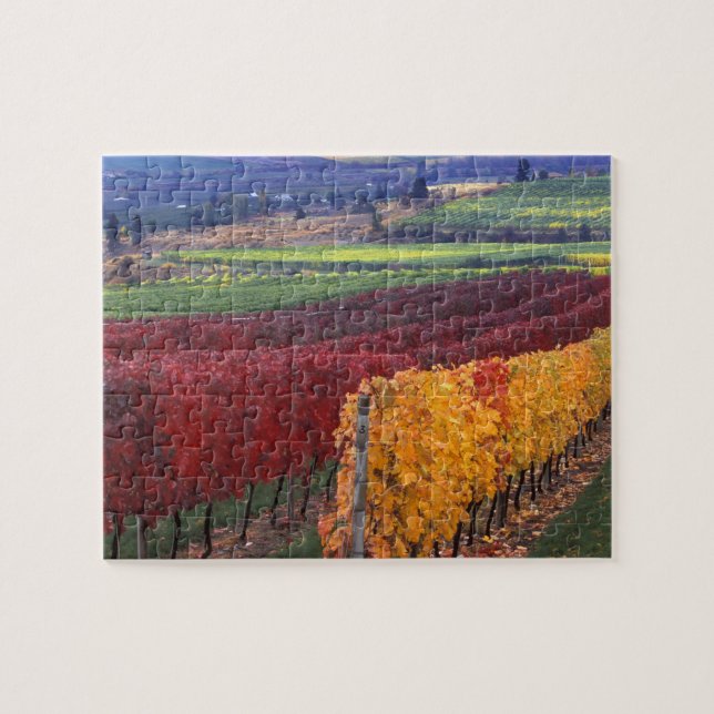 Intensiv rote und gelbe Herbstfarben auf Gehring Puzzle (Horizontal)