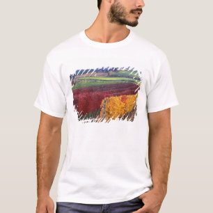 Intensiv rote und gelbe Herbstfarben auf Gehring T-Shirt