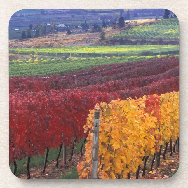 Intensiv rote und gelbe Herbstfarben auf Gehring Untersetzer (Vorderseite)