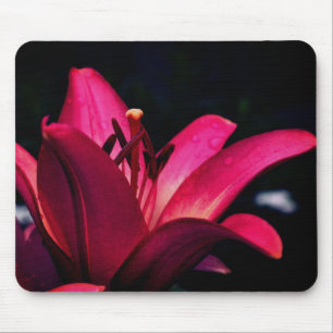 Intensiv-Taglilie-Blume Mousepad