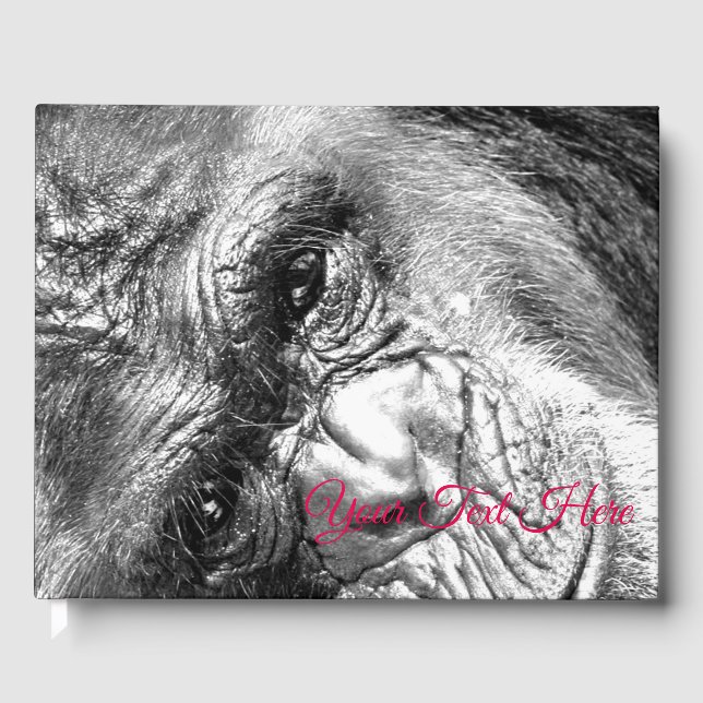 Intensivblick Gästebuch (Vorderseite)