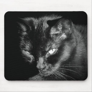 Intensive Black Cat Mousepad