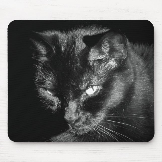 Intensive Black Cat Mousepad (Vorne)