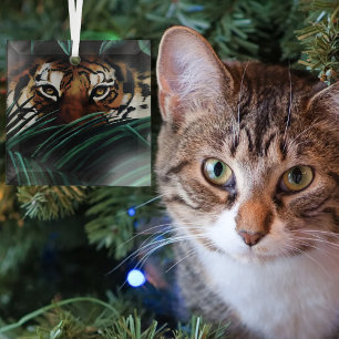 Intensive Grüne Dschungel Tiger Augen Wildnis Blät Ornament Aus Glas