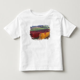 Intensive rote und gelbe Herbstfarben auf Gehring Kleinkind T-shirt