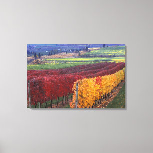 Intensive rote und gelbe Herbstfarben auf Gehring Leinwanddruck