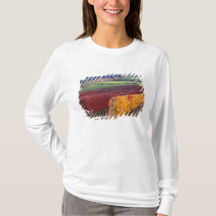 Intensive rote und gelbe Herbstfarben auf Gehring T-Shirt