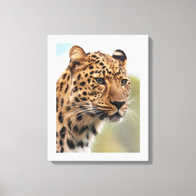 Intensiver Blick des Leoparden Leinwanddruck (Vorderseite)