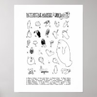 Interessante Manatees Poster