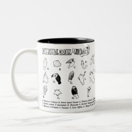 Interessante Manatis-Tasse Zweifarbige Tasse