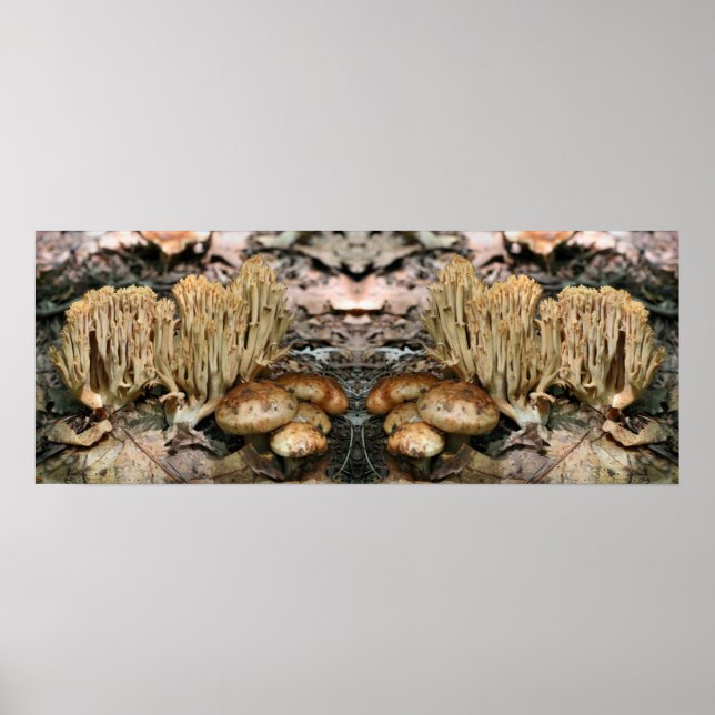 Interessante Wild Mushrooms Mirror Abstrakt Poster (Vorne)
