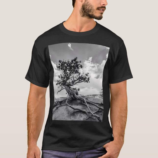 Interessanter Pine Tree Auf dem Queens Garden T-Shirt (Vorderseite)