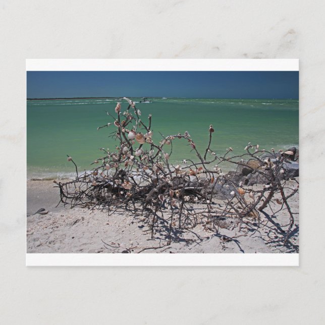 Interlaced Infatuation Postkarte (Vorderseite)