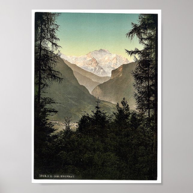 Interlaken, Hotels, Berner Oberland, Schweiz. Poster (Vorne)