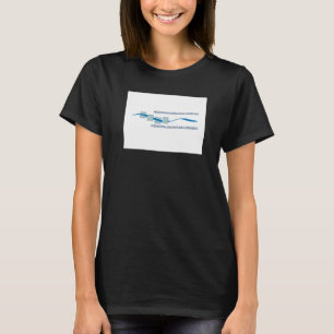 Internationale Flagge der Sava-Flussgebietskommiss T-Shirt
