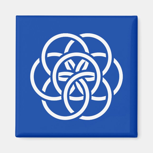 Internationale Flagge des Planeten Erde Magnet (Vorne)