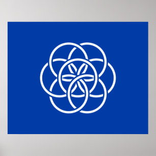 Internationale Flagge des Planeten Erde Poster