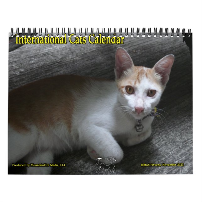 Internationaler Katzen-Kalender Kalender (Titelbild)