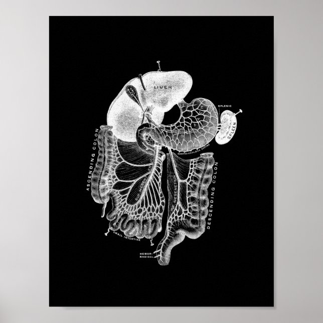Interne Anatomie des Menschen in Schwarz und Weiß Poster (Vorne)