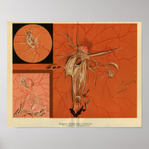 Interne Ansicht-Retina des Augen-Vintagen Druckes Poster