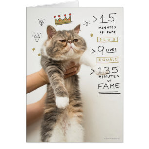 Internet Cat Celeberity