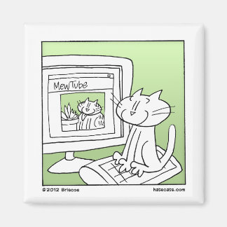 Internetkatze Magnet