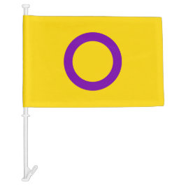 Intersex Pride Car Flag