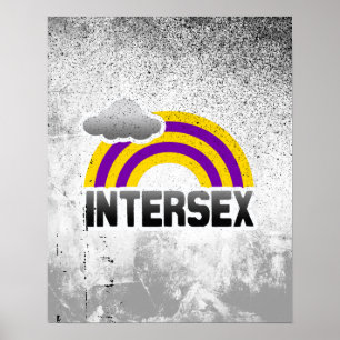INTERSEX REGENBOGEN POSTER