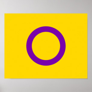 Intersex-Stolz-Flagge Poster