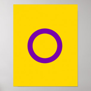 INTERSEX STOLZ POSTER