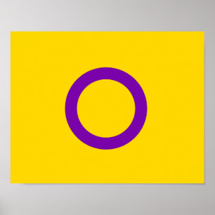 INTERSEX STOLZ POSTER