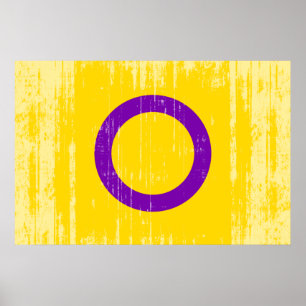 INTERSEX-STOLZFLAGGE POSTER
